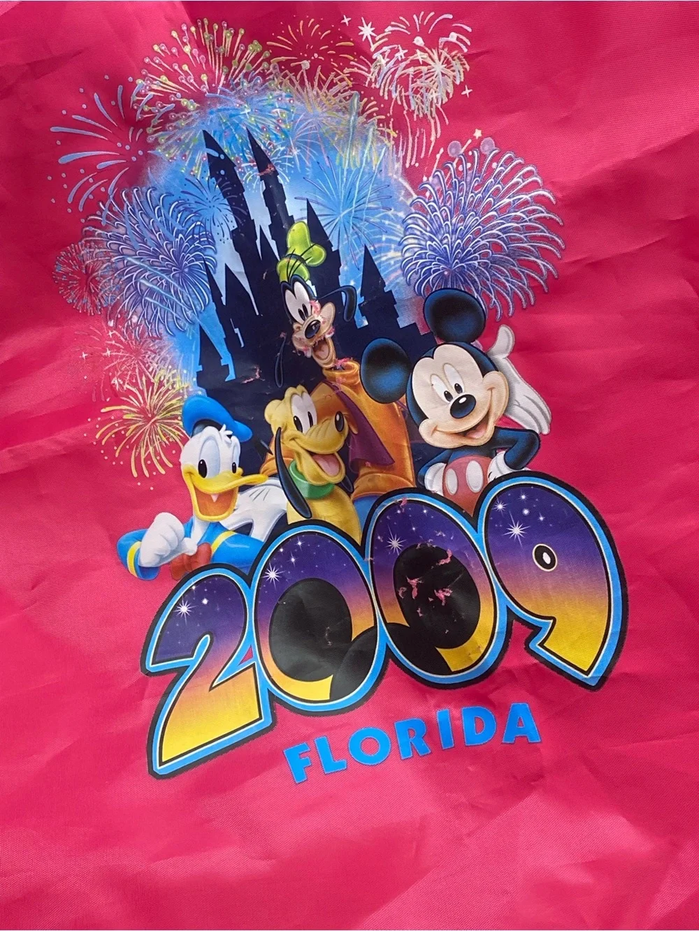 2009 Walt Disney World Florida Pink Drawstring Cinch Backpack Mickey Friends